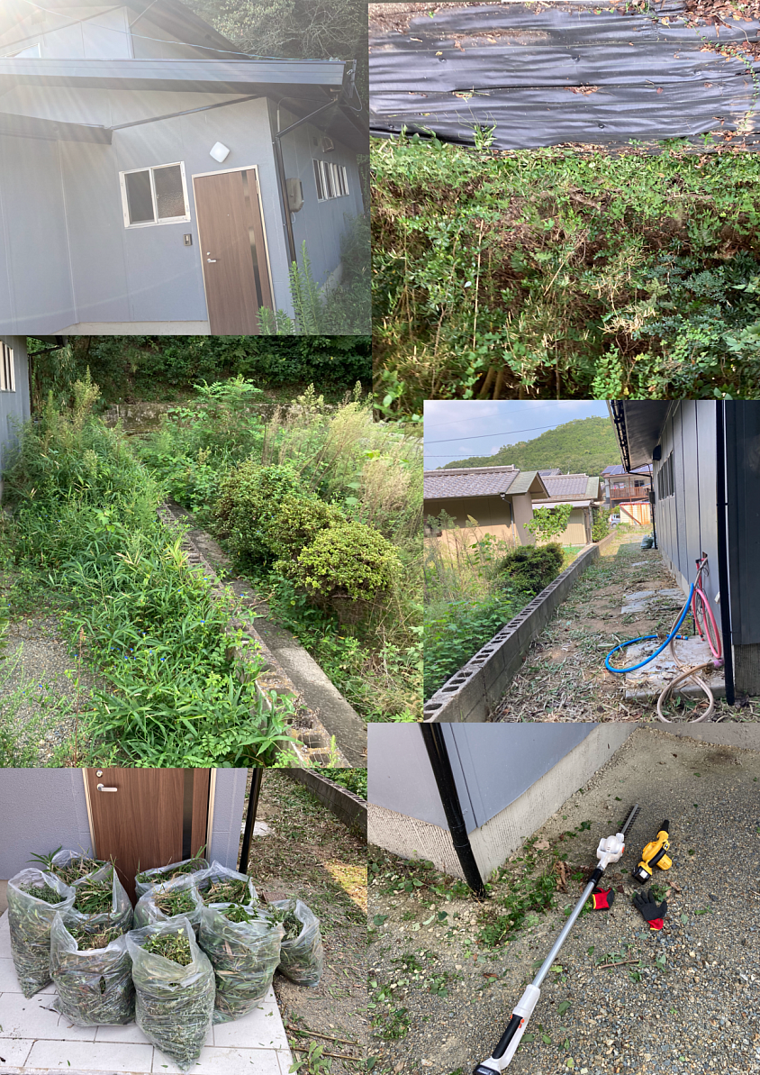 草刈り(戸建て)